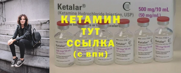 индика Зеленодольск