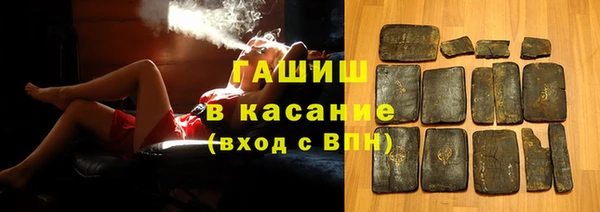 индика Зеленодольск
