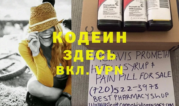 индика Зеленодольск