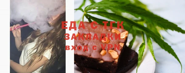 индика Зеленодольск