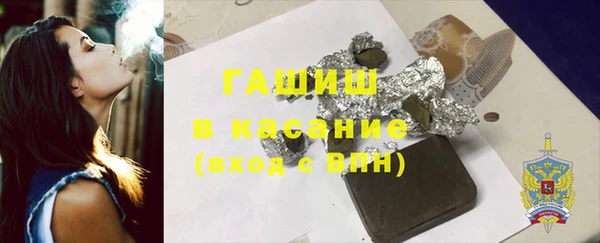 индика Зеленодольск