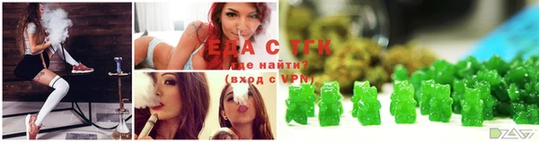индика Зеленодольск