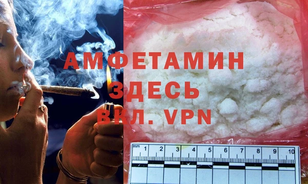 индика Зеленодольск