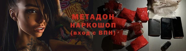индика Зеленодольск