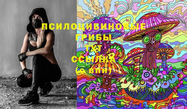 индика Зеленодольск