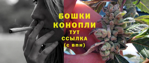 индика Зеленодольск