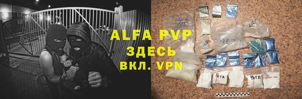 индика Зеленодольск