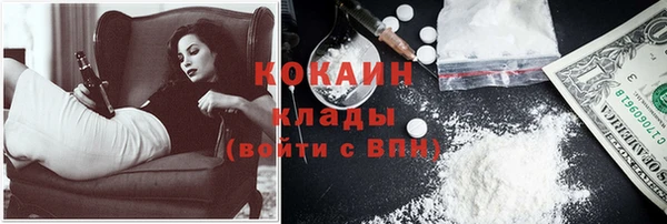 индика Зеленодольск